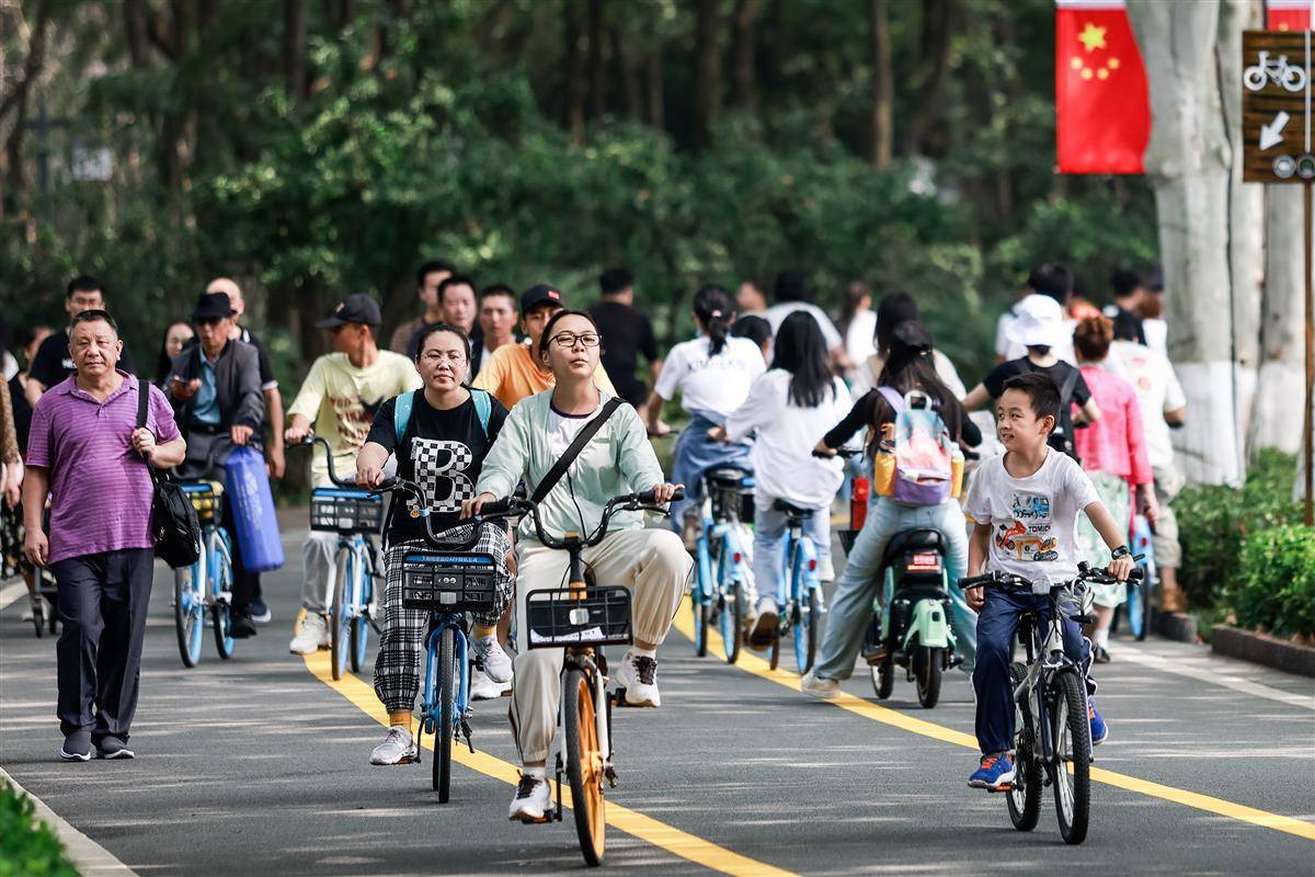 申请彩金是什么